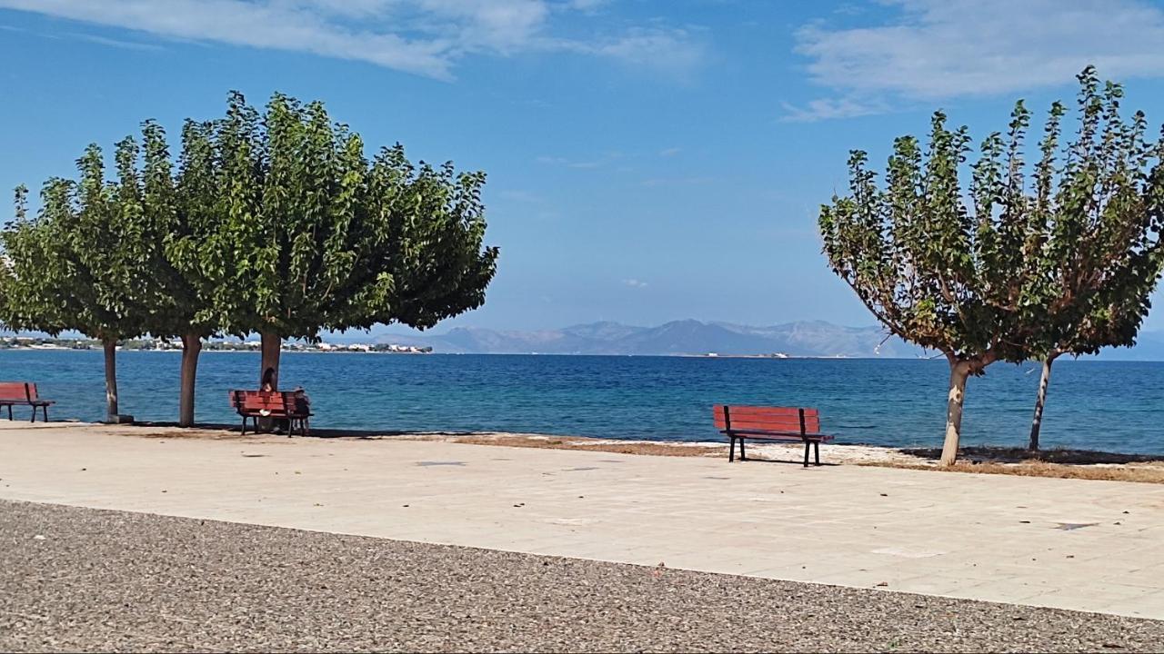 Beautiful Choice - Near Athens Airport - 50M From The Sea - Iq+ Apartment Artemida  Ngoại thất bức ảnh