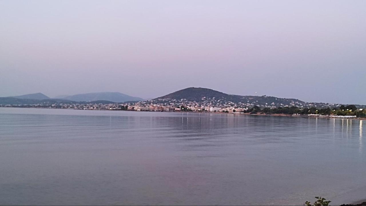 Beautiful Choice - Near Athens Airport - 50M From The Sea - Iq+ Apartment Artemida  Ngoại thất bức ảnh