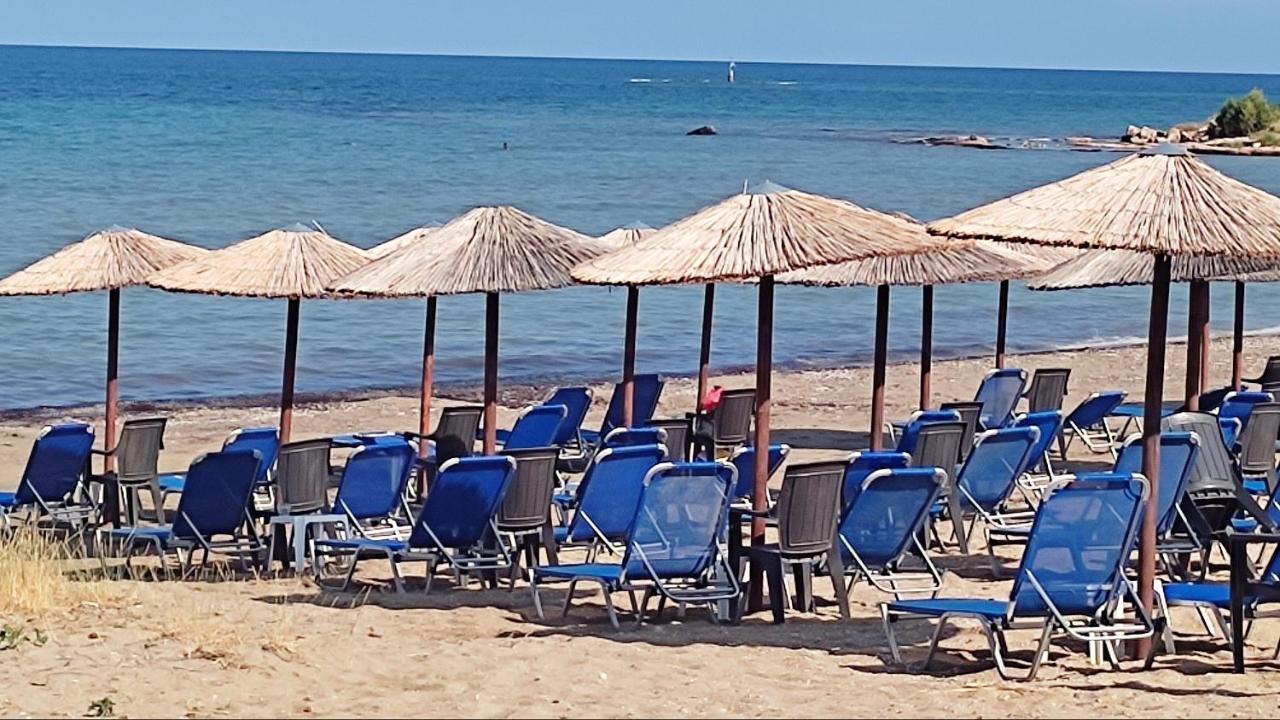 Beautiful Choice - Near Athens Airport - 50M From The Sea - Iq+ Apartment Artemida  Ngoại thất bức ảnh