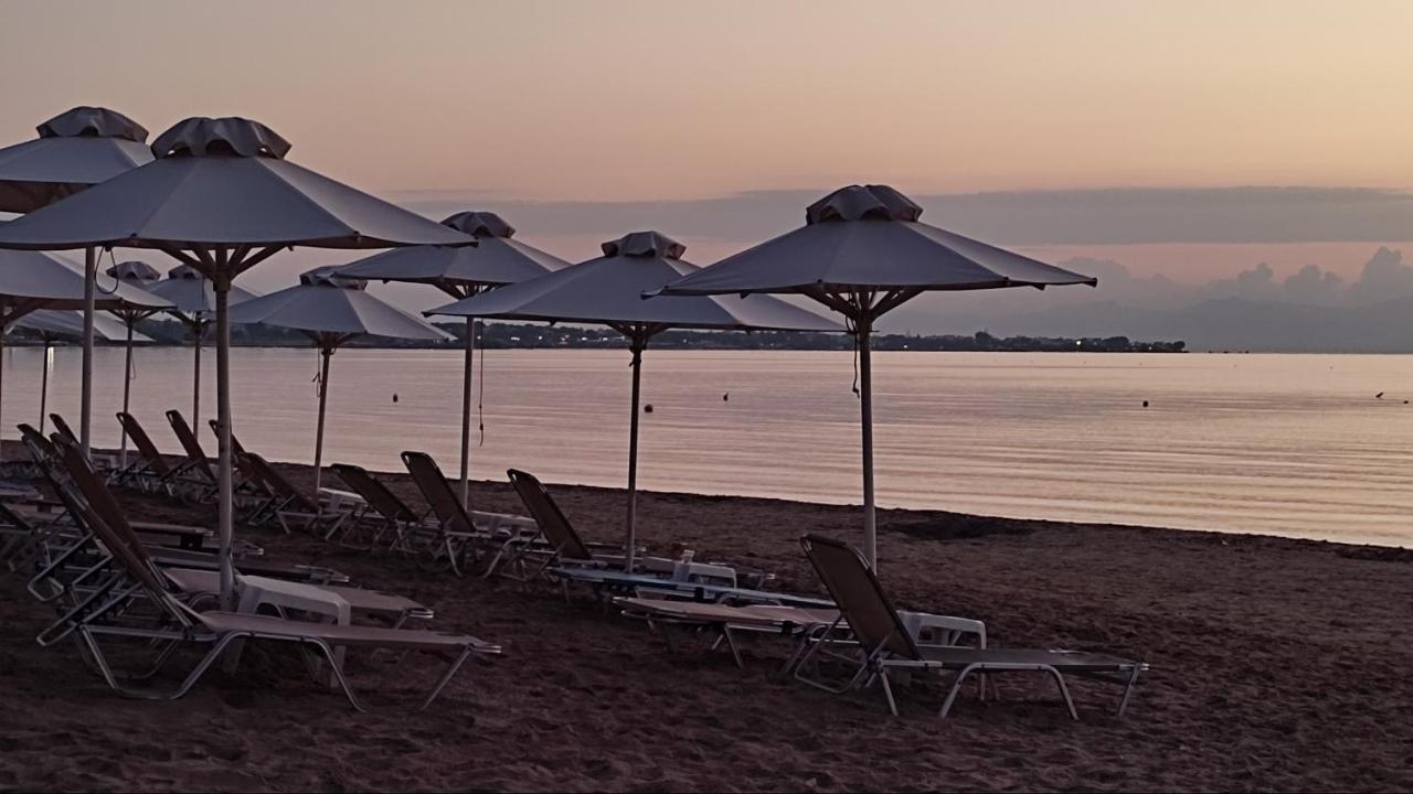 Beautiful Choice - Near Athens Airport - 50M From The Sea - Iq+ Apartment Artemida  Ngoại thất bức ảnh